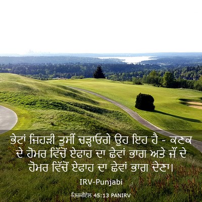 Picture 03 - ਹਿਜ਼ਕੀਏਲ 45:13 PANIRV - ਭੇਟਾਂ ਜਿਹੜੀ ਤੁਸੀਂ - Bible Verse Picture
