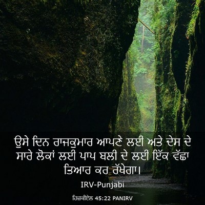 Picture 03 - ਹਿਜ਼ਕੀਏਲ 45:22 PANIRV - ਉਸੇ ਦਿਨ ਰਾਜਕੁਮਾਰ - Bible Verse Picture
