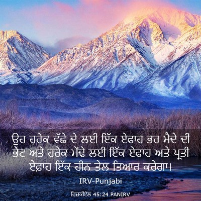 Picture 03 - ਹਿਜ਼ਕੀਏਲ 45:24 PANIRV - ਉਹ ਹਰੇਕ ਵੱਛੇ ਦੇ ਲਈ - Bible Verse Picture