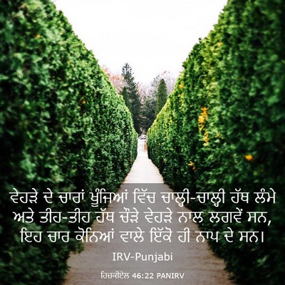 Picture 03 - ਹਿਜ਼ਕੀਏਲ 46:22 PANIRV - ਵੇਹੜੇ ਦੇ ਚਾਰਾਂ - Bible Verse Picture