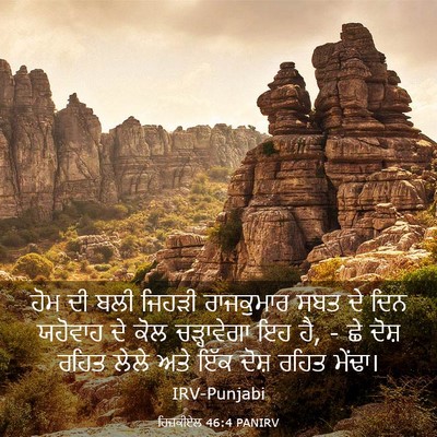 Picture 03 - ਹਿਜ਼ਕੀਏਲ 46:4 PANIRV - ਹੋਮ ਦੀ ਬਲੀ ਜਿਹੜੀ - Bible Verse Picture