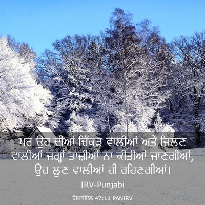 Picture 03 - ਹਿਜ਼ਕੀਏਲ 47:11 PANIRV - ਪਰ ਉਹ ਦੀਆਂ ਚਿੱਕੜ - Bible Verse Picture