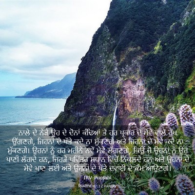 Picture 03 - ਹਿਜ਼ਕੀਏਲ 47:12 PANIRV - ਨਾਲੇ ਦੇ ਨੇੜੇ ਉਹ ਦੇ - Bible Verse Picture