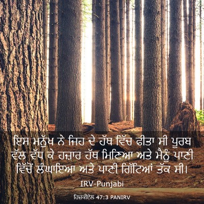 Picture 03 - ਹਿਜ਼ਕੀਏਲ 47:3 PANIRV - ਇਸ ਮਨੁੱਖ ਨੇ ਜਿਹ ਦੇ - Bible Verse Picture