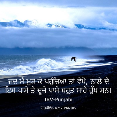 Picture 03 - ਹਿਜ਼ਕੀਏਲ 47:7 PANIRV - ਜਦ ਮੈਂ ਮੁੜ ਕੇ - Bible Verse Picture