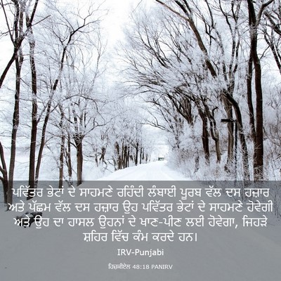 Picture 03 - ਹਿਜ਼ਕੀਏਲ 48:18 PANIRV - ਪਵਿੱਤਰ ਭੇਟਾਂ ਦੇ - Bible Verse Picture