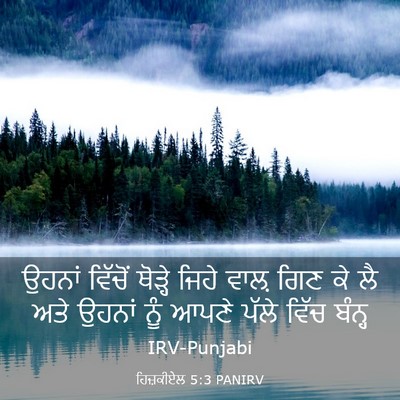 Picture 03 - ਹਿਜ਼ਕੀਏਲ 5:3 PANIRV - ਉਹਨਾਂ ਵਿੱਚੋਂ - Bible Verse Picture