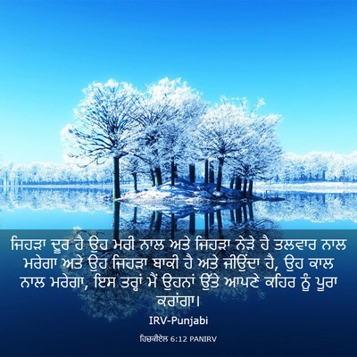 Picture 03 - ਹਿਜ਼ਕੀਏਲ 6:12 PANIRV - ਜਿਹੜਾ ਦੂਰ ਹੈ ਉਹ ਮਰੀ - Bible Verse Picture