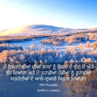 Picture 03 - ਹਿਜ਼ਕੀਏਲ 6:5 PANIRV - ਮੈਂ ਇਸਰਾਏਲੀਆਂ - Bible Verse Picture