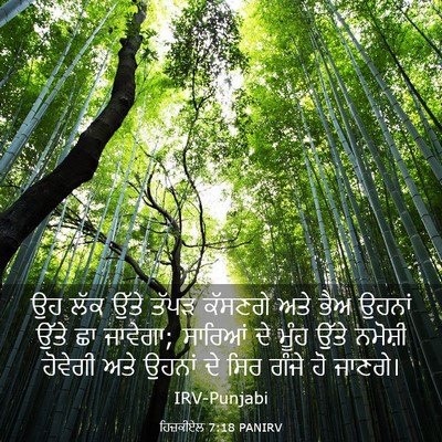 Picture 03 - ਹਿਜ਼ਕੀਏਲ 7:18 PANIRV - ਉਹ ਲੱਕ ਉੱਤੇ ਤੱਪੜ - Bible Verse Picture