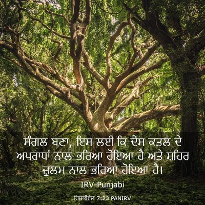 Picture 03 - ਹਿਜ਼ਕੀਏਲ 7:23 PANIRV - ਸੰਗਲ ਬਣਾ, ਇਸ ਲਈ ਕਿ - Bible Verse Picture