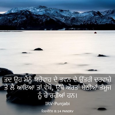 Picture 03 - ਹਿਜ਼ਕੀਏਲ 8:14 PANIRV - ਤਦ ਉਹ ਮੈਨੂੰ ਯਹੋਵਾਹ - Bible Verse Picture
