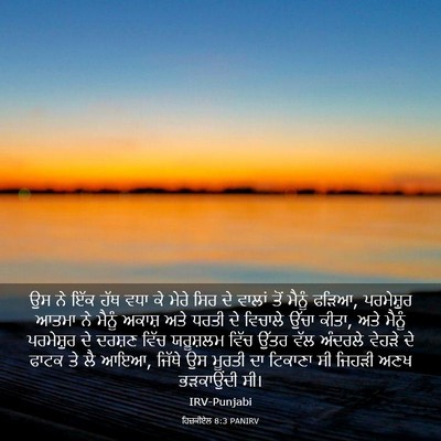 Picture 03 - ਹਿਜ਼ਕੀਏਲ 8:3 PANIRV - ਉਸ ਨੇ ਇੱਕ ਹੱਥ ਵਧਾ - Bible Verse Picture