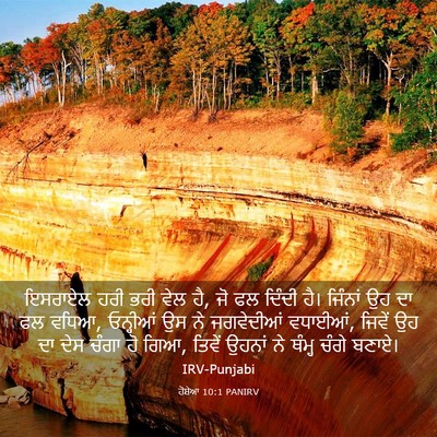 Picture 03 - ਹੋਸ਼ੇਆ 10:1 PANIRV - ਇਸਰਾਏਲ ਹਰੀ ਭਰੀ ਵੇਲ - Bible Verse Picture