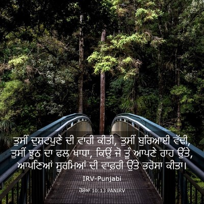 Picture 03 - ਹੋਸ਼ੇਆ 10:13 PANIRV - ਤੁਸੀਂ ਦੁਸ਼ਟਪੁਣੇ - Bible Verse Picture