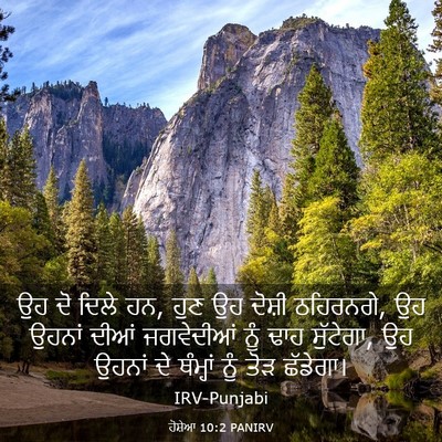 Picture 03 - ਹੋਸ਼ੇਆ 10:2 PANIRV - ਉਹ ਦੋ ਦਿਲੇ ਹਨ, ਹੁਣ - Bible Verse Picture
