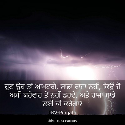 Picture 03 - ਹੋਸ਼ੇਆ 10:3 PANIRV - ਹੁਣ ਉਹ ਤਾਂ ਆਖਣਗੇ, - Bible Verse Picture