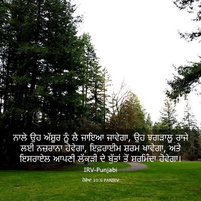 Picture 03 - ਹੋਸ਼ੇਆ 10:6 PANIRV - ਨਾਲੇ ਉਹ ਅੱਸ਼ੂਰ ਨੂੰ - Bible Verse Picture