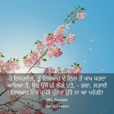 Picture 03 - ਹੋਸ਼ੇਆ 10:9 PANIRV - ਹੇ ਇਸਰਾਏਲ, ਤੂੰ - Bible Verse Picture