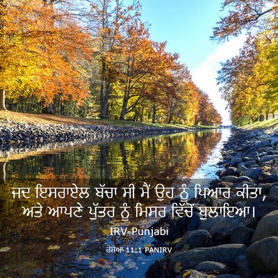 Picture 03 - ਹੋਸ਼ੇਆ 11:1 PANIRV - ਜਦ ਇਸਰਾਏਲ ਬੱਚਾ ਸੀ - Bible Verse Picture