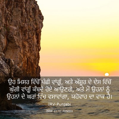 Picture 03 - ਹੋਸ਼ੇਆ 11:11 PANIRV - ਉਹ ਮਿਸਰ ਵਿੱਚੋਂ - Bible Verse Picture