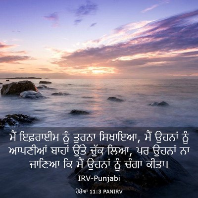 Picture 03 - ਹੋਸ਼ੇਆ 11:3 PANIRV - ਮੈਂ ਇਫ਼ਰਾਈਮ ਨੂੰ - Bible Verse Picture