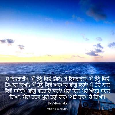 Picture 03 - ਹੋਸ਼ੇਆ 11:8 PANIRV - ਹੇ ਇਫ਼ਰਾਈਮ, ਮੈਂ - Bible Verse Picture