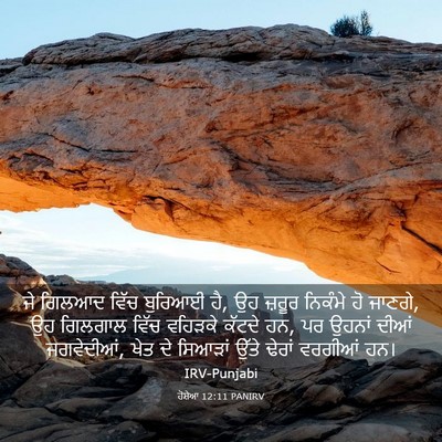 Picture 03 - ਹੋਸ਼ੇਆ 12:11 PANIRV - ਜੇ ਗਿਲਆਦ ਵਿੱਚ - Bible Verse Picture