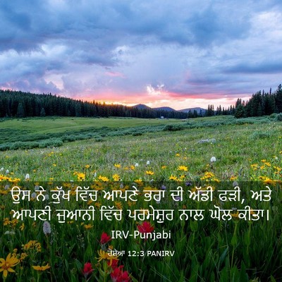 Picture 03 - ਹੋਸ਼ੇਆ 12:3 PANIRV - ਉਸ ਨੇ ਕੁੱਖ ਵਿੱਚ - Bible Verse Picture