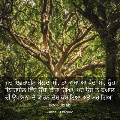 Picture 03 - ਹੋਸ਼ੇਆ 13:1 PANIRV - ਜਦ ਇਫ਼ਰਾਈਮ ਬੋਲਦਾ - Bible Verse Picture