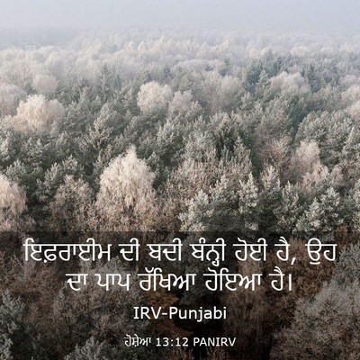 Picture 03 - ਹੋਸ਼ੇਆ 13:12 PANIRV - ਇਫ਼ਰਾਈਮ ਦੀ ਬਦੀ - Bible Verse Picture
