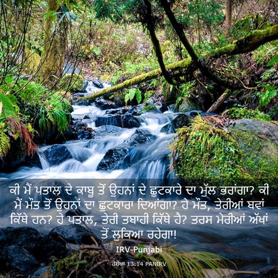 Picture 03 - ਹੋਸ਼ੇਆ 13:14 PANIRV - ਕੀ ਮੈਂ ਪਤਾਲ ਦੇ ਕਾਬੂ - Bible Verse Picture