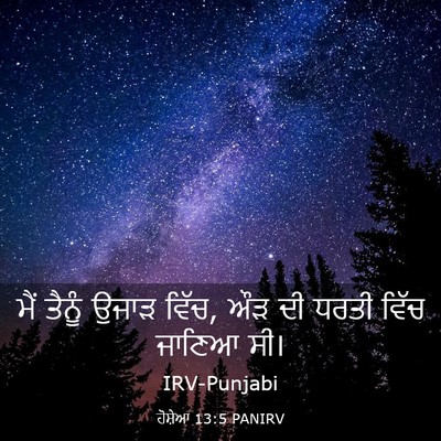 Picture 03 - ਹੋਸ਼ੇਆ 13:5 PANIRV - ਮੈਂ ਤੈਨੂੰ ਉਜਾੜ - Bible Verse Picture