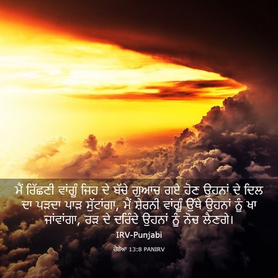 Picture 03 - ਹੋਸ਼ੇਆ 13:8 PANIRV - ਮੈਂ ਰਿੱਛਣੀ ਵਾਂਗੂੰ - Bible Verse Picture