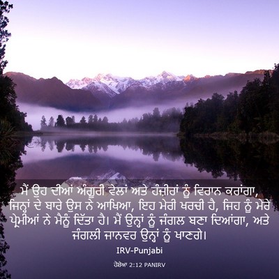 Picture 03 - ਹੋਸ਼ੇਆ 2:12 PANIRV - ਮੈਂ ਉਹ ਦੀਆਂ ਅੰਗੂਰੀ - Bible Verse Picture