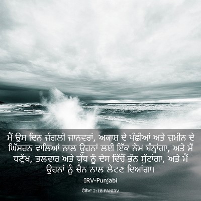Picture 03 - ਹੋਸ਼ੇਆ 2:18 PANIRV - ਮੈਂ ਉਸ ਦਿਨ ਜੰਗਲੀ - Bible Verse Picture