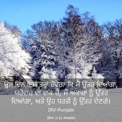 Picture 03 - ਹੋਸ਼ੇਆ 2:21 PANIRV - ਉਸ ਦਿਨ ਇਸ ਤਰ੍ਹਾਂ - Bible Verse Picture