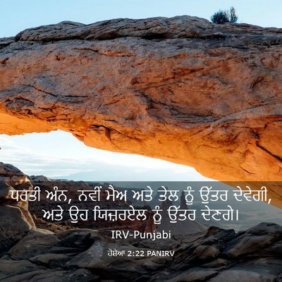 Picture 03 - ਹੋਸ਼ੇਆ 2:22 PANIRV - ਧਰਤੀ ਅੰਨ, ਨਵੀਂ ਮੈਅ - Bible Verse Picture