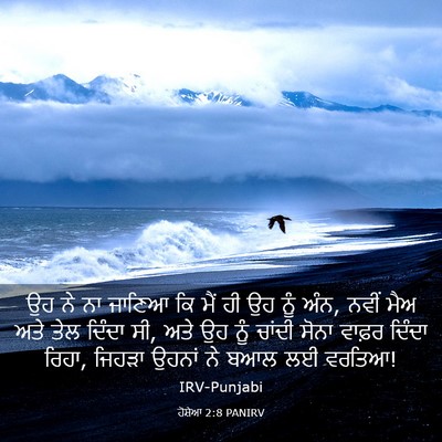 Picture 03 - ਹੋਸ਼ੇਆ 2:8 PANIRV - ਉਹ ਨੇ ਨਾ ਜਾਣਿਆ ਕਿ - Bible Verse Picture