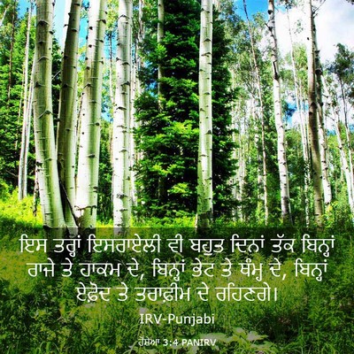 Picture 03 - ਹੋਸ਼ੇਆ 3:4 PANIRV - ਇਸ ਤਰ੍ਹਾਂ ਇਸਰਾਏਲੀ - Bible Verse Picture