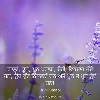 Picture 03 - ਹੋਸ਼ੇਆ 4:2 PANIRV - ਗਾਲ੍ਹਾਂ, ਝੂਠ, ਖ਼ੂਨ - Bible Verse Picture