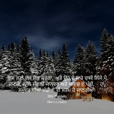Picture 03 - ਹੋਸ਼ੇਆ 4:3 PANIRV - ਇਸ ਲਈ ਦੇਸ ਸੋਗ - Bible Verse Picture