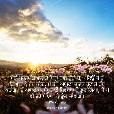 Picture 03 - ਹੋਸ਼ੇਆ 4:6 PANIRV - ਮੇਰੀ ਪਰਜਾ ਗਿਆਨ ਤੋਂ - Bible Verse Picture