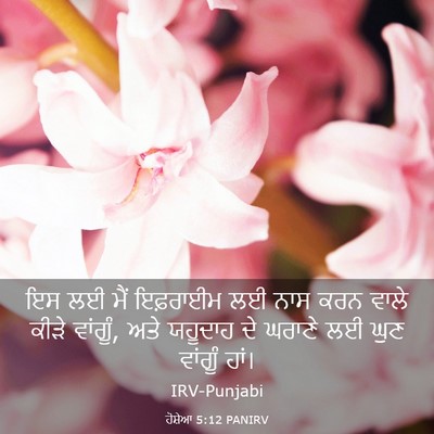 Picture 03 - ਹੋਸ਼ੇਆ 5:12 PANIRV - ਇਸ ਲਈ ਮੈਂ ਇਫ਼ਰਾਈਮ - Bible Verse Picture