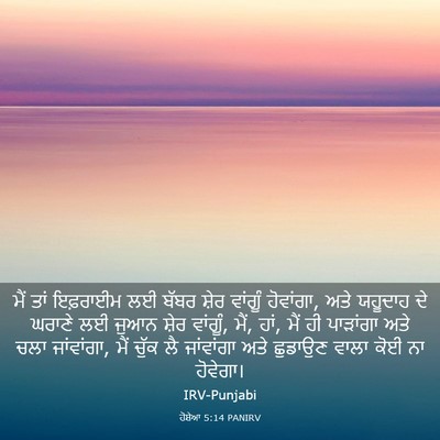 Picture 03 - ਹੋਸ਼ੇਆ 5:14 PANIRV - ਮੈਂ ਤਾਂ ਇਫ਼ਰਾਈਮ ਲਈ - Bible Verse Picture