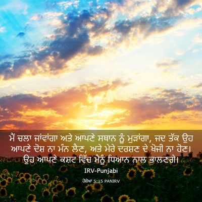 Picture 03 - ਹੋਸ਼ੇਆ 5:15 PANIRV - ਮੈਂ ਚਲਾ ਜਾਂਵਾਂਗਾ - Bible Verse Picture