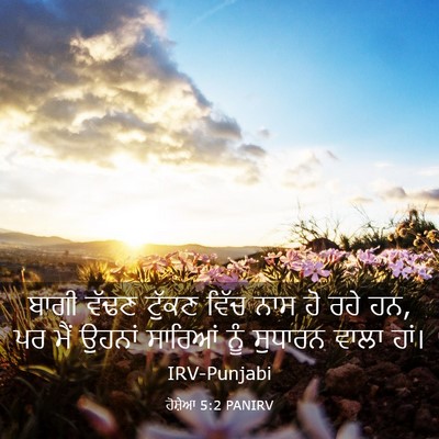 Picture 03 - ਹੋਸ਼ੇਆ 5:2 PANIRV - ਬਾਗੀ ਵੱਢਣ ਟੁੱਕਣ - Bible Verse Picture
