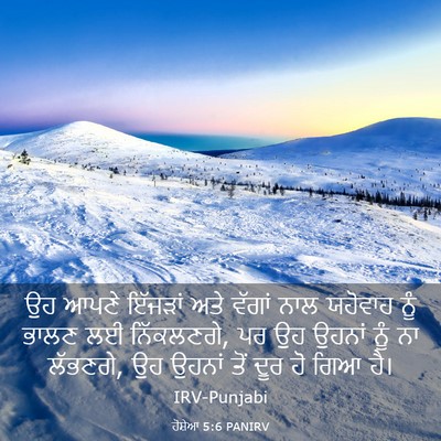 Picture 03 - ਹੋਸ਼ੇਆ 5:6 PANIRV - ਉਹ ਆਪਣੇ ਇੱਜੜਾਂ ਅਤੇ - Bible Verse Picture