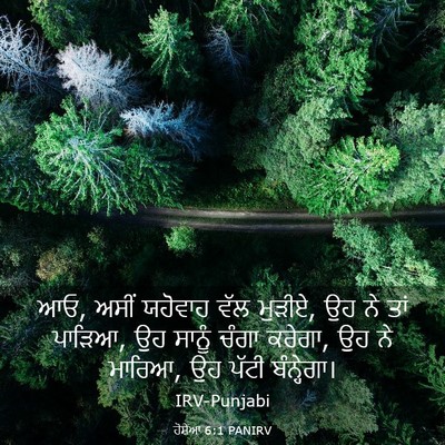 Picture 03 - ਹੋਸ਼ੇਆ 6:1 PANIRV - ਆਓ, ਅਸੀਂ ਯਹੋਵਾਹ ਵੱਲ - Bible Verse Picture