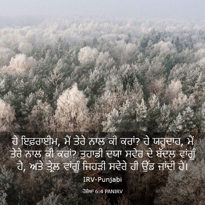 Picture 03 - ਹੋਸ਼ੇਆ 6:4 PANIRV - ਹੇ ਇਫ਼ਰਾਈਮ, ਮੈਂ - Bible Verse Picture